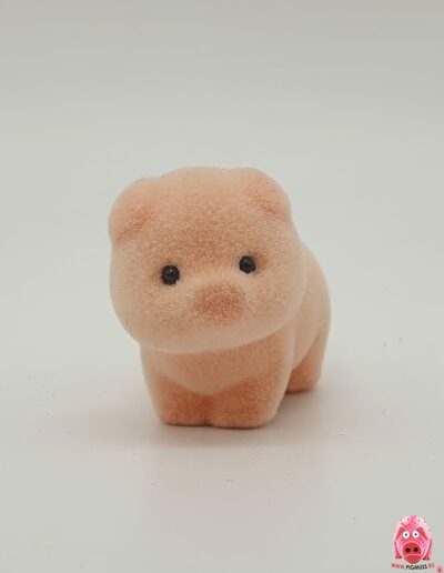 Микро-свинки коллекции Pigmuss