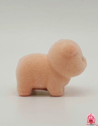 Микро-свинки коллекции Pigmuss