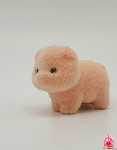 Микро-свинки коллекции Pigmuss