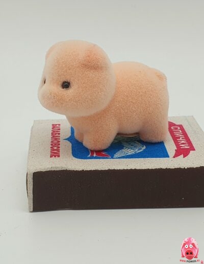 Микро-свинки коллекции Pigmuss