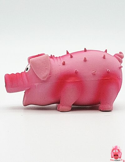 Свинка логотип коллекции Pigmuss