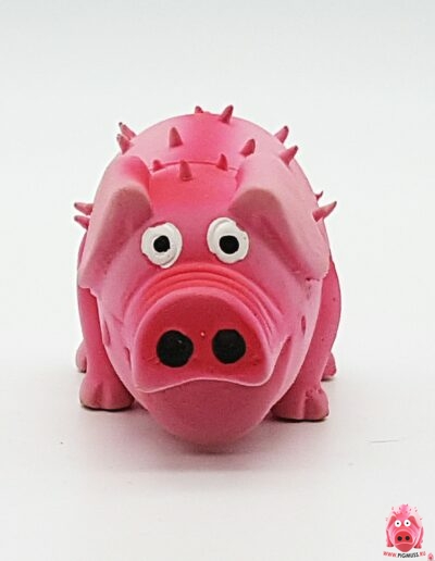 Свинка логотип коллекции Pigmuss