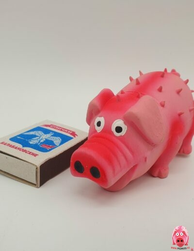 Свинка логотип коллекции Pigmuss
