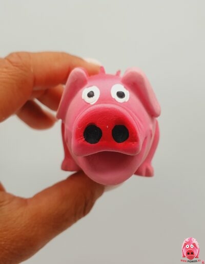 Свинка логотип коллекции Pigmuss