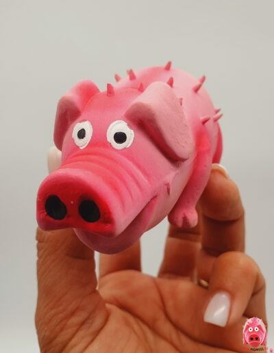 Свинка логотип коллекции Pigmuss