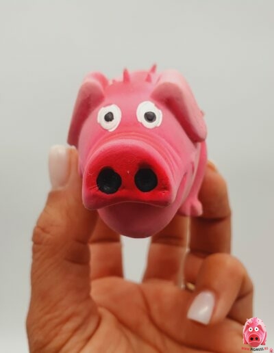 Свинка логотип коллекции Pigmuss