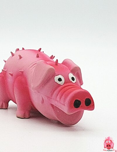 Свинка логотип коллекции Pigmuss